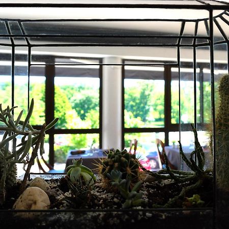 Aubergade Hotel Barbotan les Thermes Bagian luar foto
